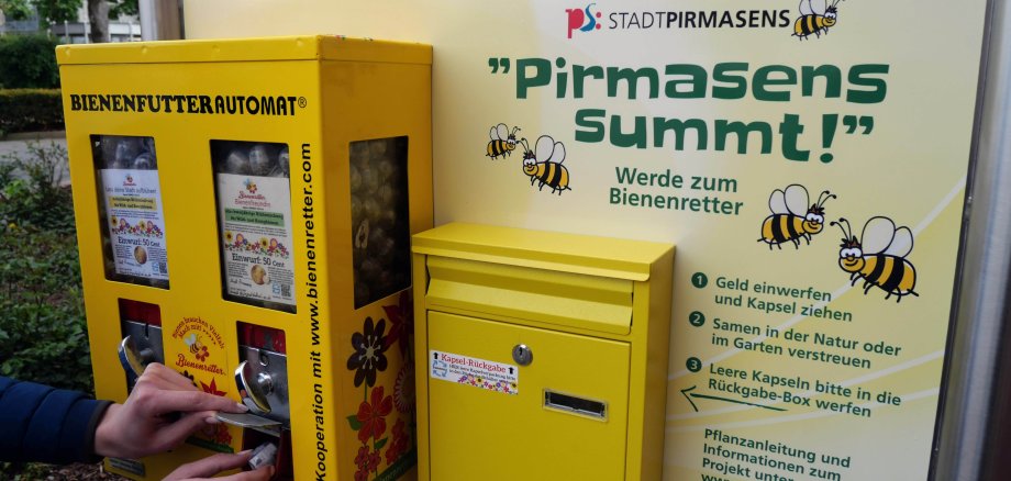 Bienenfutter-Automat mit der Aufschrift "Pirmasens summt"