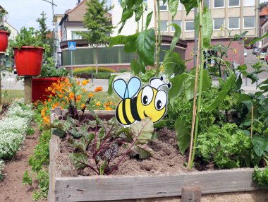 Beete und Hochbeete mit Obst und Gemüsepflanzen