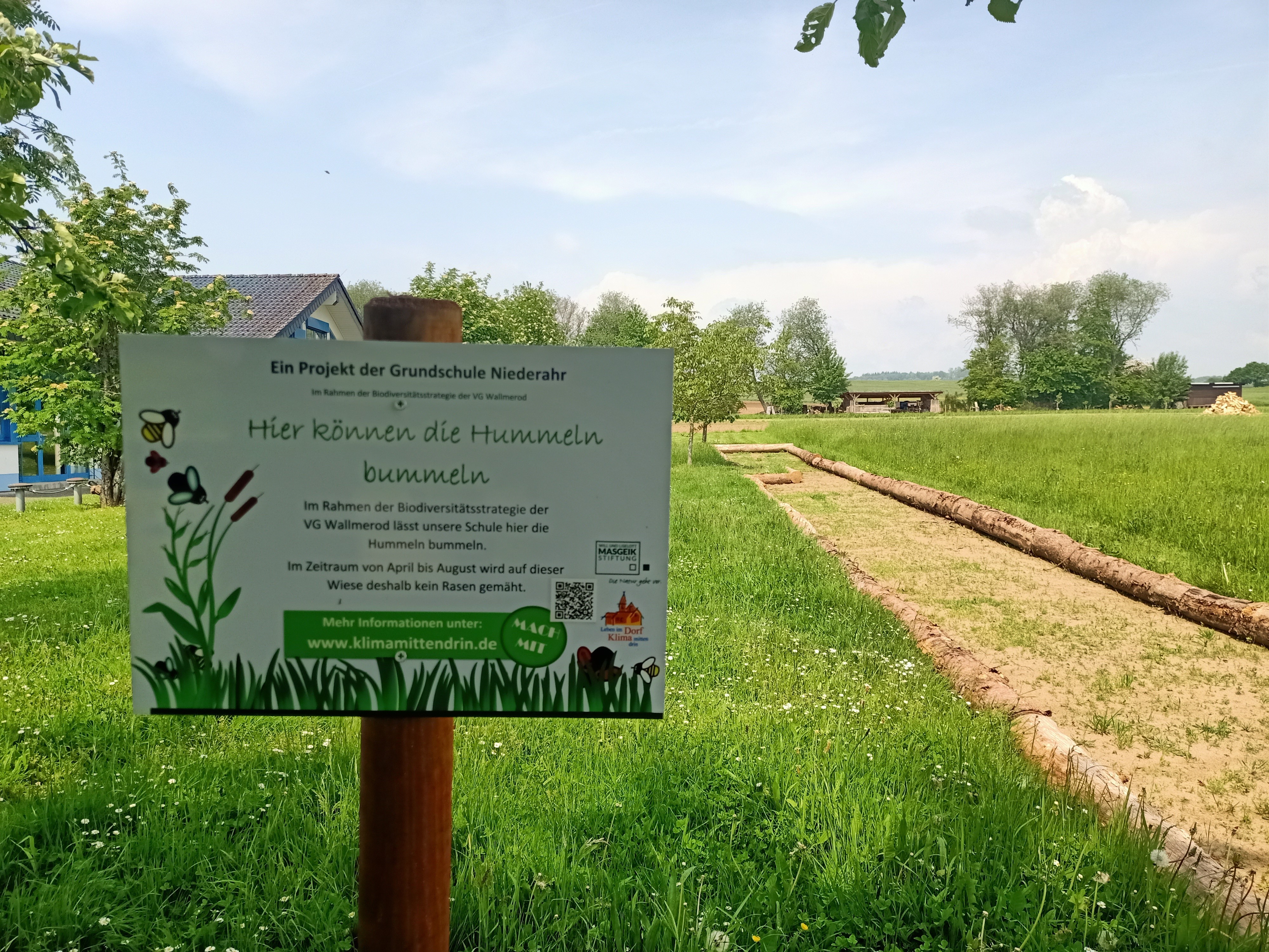 Hummel-Bummel Alle Schulen des Gemeindegebiets nehmen an der Biodiversitätsstrategie teil, sodass an jeder Schule nun die Hummeln bummeln können.