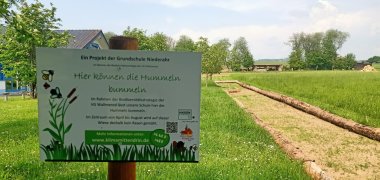 Alle Schulen des Gemeindegebiets nehmen an der Biodiversitätsstrategie teil, sodass an jeder Schule nun die Hummeln bummeln können. 